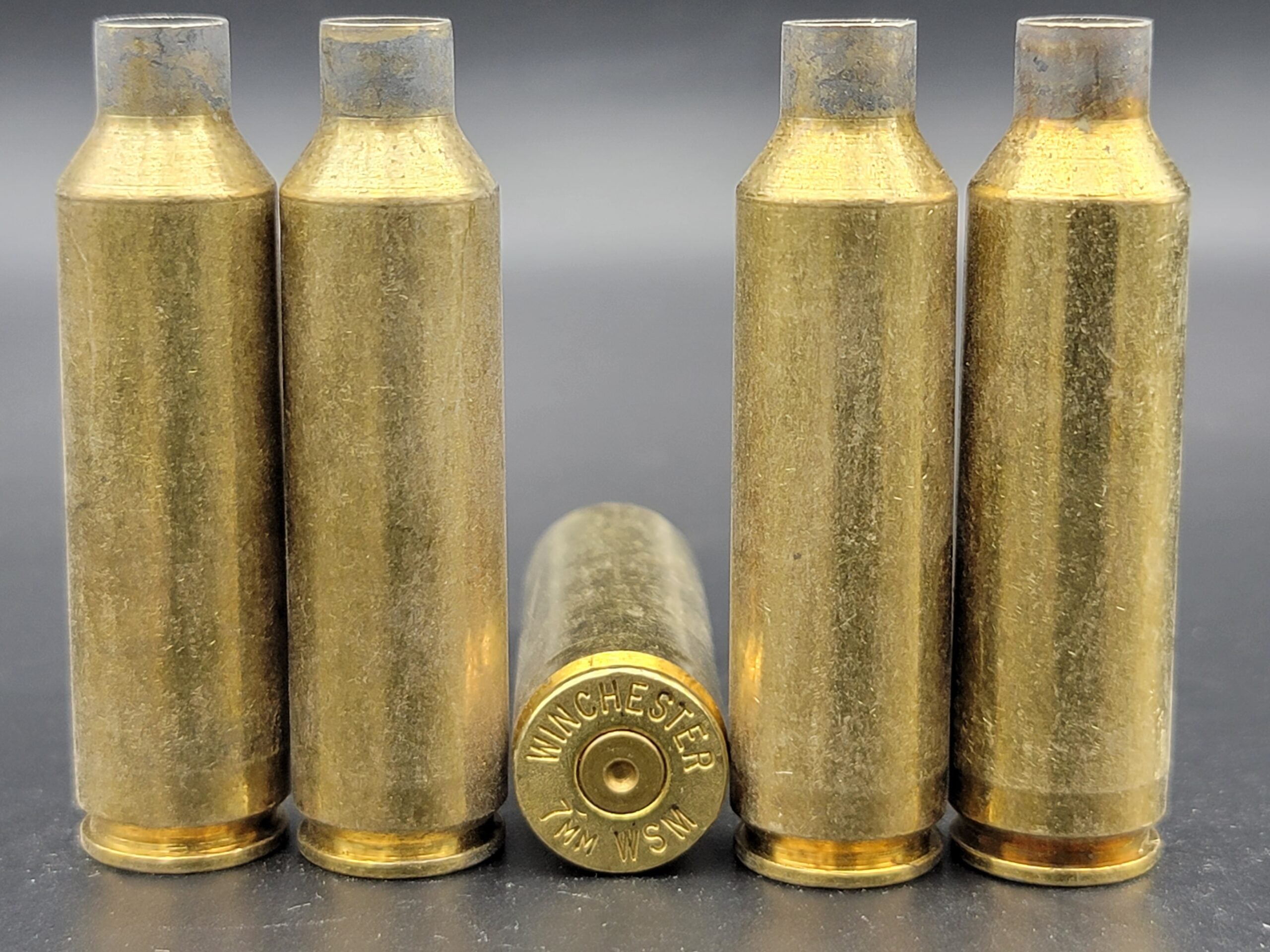 7mm Wsm Rifle Brass 50 Casings Shop Mojo Precision